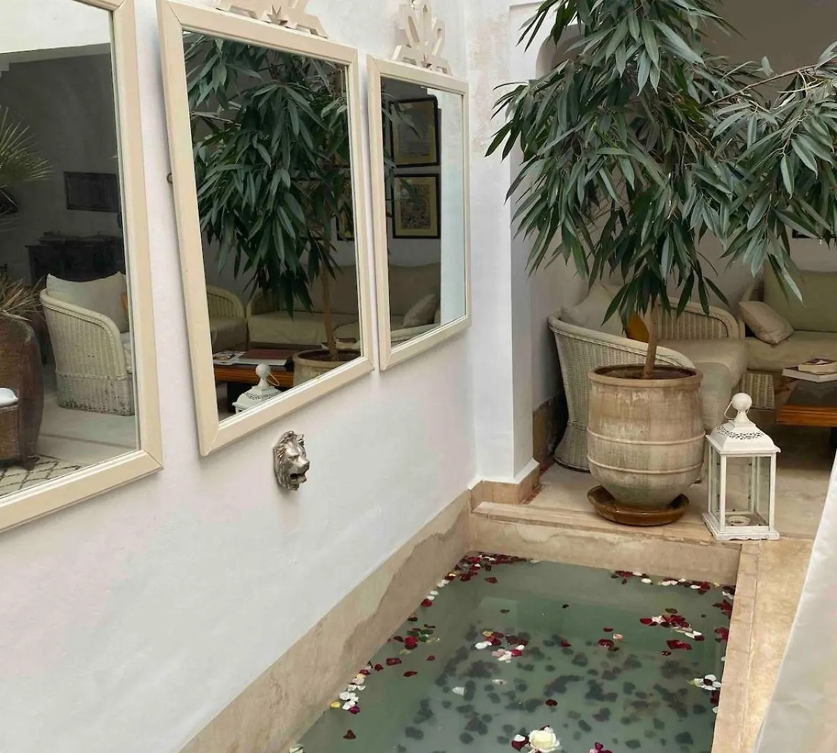 Riad Tikka In The Heart Of The Medina Marrakesh
